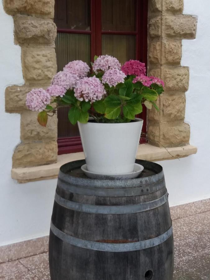 Hotel Cr Luarri à Saint-Sébastien Extérieur photo